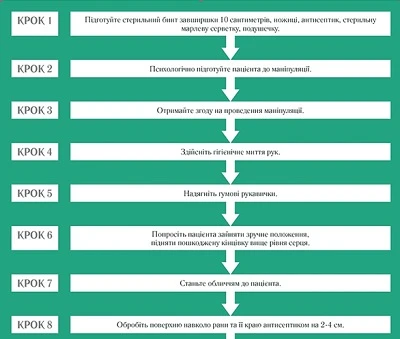 Туга пов’язка для зупинення кровотечі: алгоритм накладання Туга пов’язка для зупинення кровотечі: алгоритм накладання