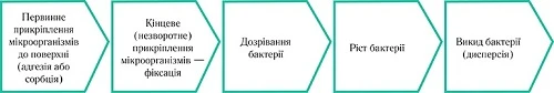 Обробка медичних інструментів: гід по дезінфекції, ПСО, стерилізації в медицині Обробка медичних інструментів: гід по дезінфекції, ПСО, стерилізації в медицині