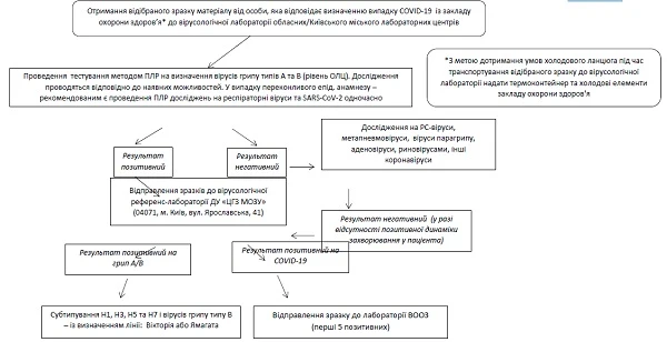 Обстеження осіб з підозрою на COVID-19 у вірусологічних лабораторіях: алгоритм Алгоритм дій щодо лабораторного обстеження осіб у вірусологічних лабораторіях, які відповідають визначенню випадку COVID-19