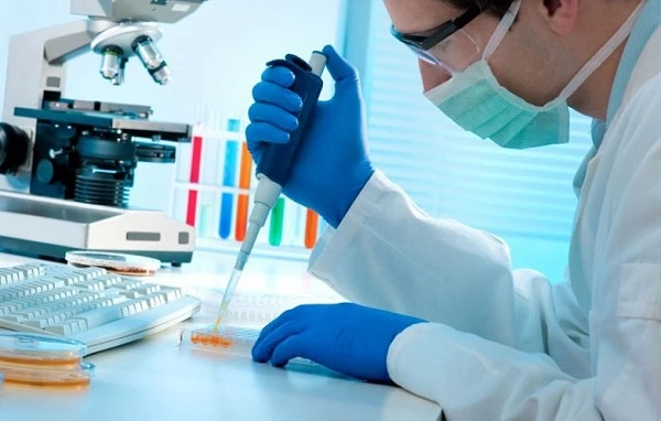 Які аналізи пацієнти здають безплатно та коли не потрібне направлення: роз’яснення НСЗУ Які аналізи пацієнти здають безплатно та коли не потрібне направлення: роз’яснення НСЗУ